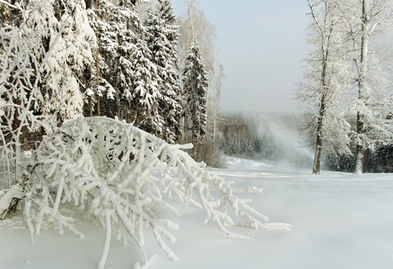 滑雪山图片