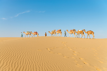 大篷车在沙漠沙丘