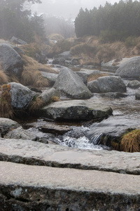 在山中河