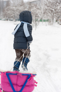 雪橇在雪森林中的小男孩