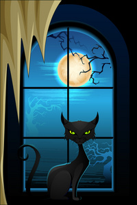黑猫在万圣节之夜