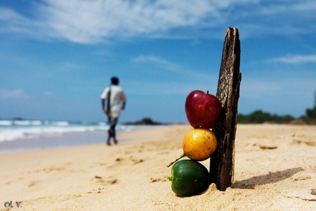斯里兰卡印度洋上海滩