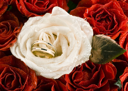 白玫瑰与结婚戒指