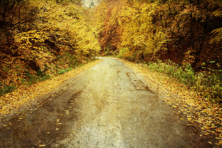 老式照片的弯曲路在秋天的森林