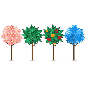 seasons.four 树木描绘上孤立的 year.trees 倍