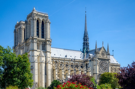 Notre dame  巴黎巴黎圣母院