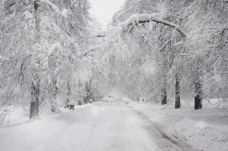 雪山 公路