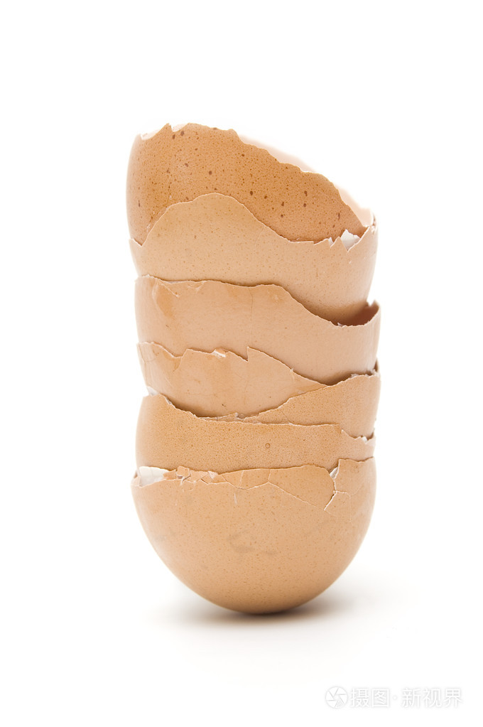 在白色背景上的卵壳