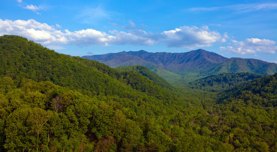 夏山