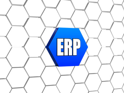 erp 标志在蓝色六角