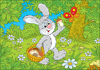 步行穿过森林的小兔子照片