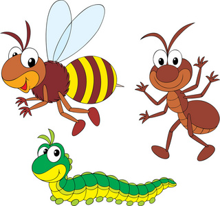 蜜蜂 蚂蚁和毛毛虫