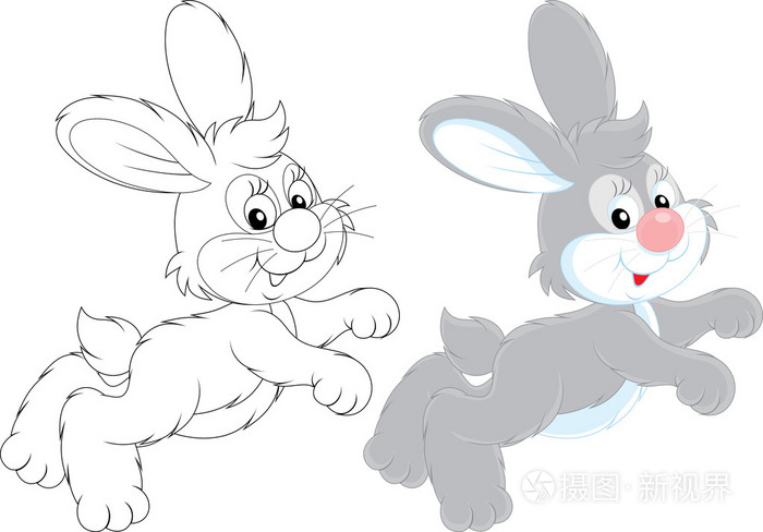 灰色兔子跳来跳去
