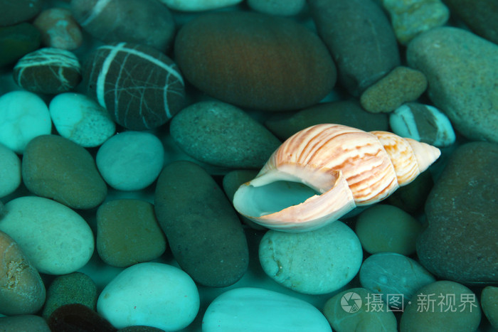 海底的贝壳和石头