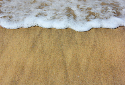 海浪和湿的沙