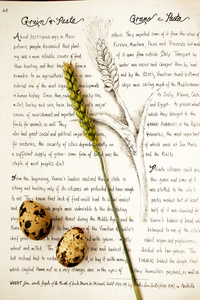 小蛋和小麦超过一本老书
