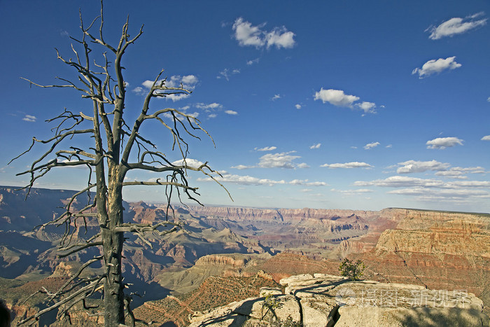 在美国亚利桑那州大峡谷国家公园的全景视图