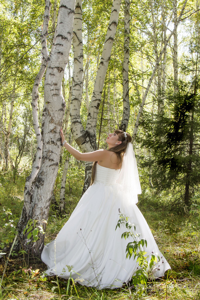 新娘在白桦林