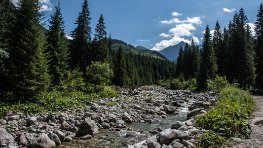 javorova 谷在特拉山在斯洛伐克