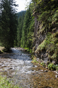 koscieliska 谷在特拉山