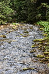 koscieliska 谷在特拉山