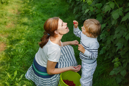 年轻的母亲和她的小儿子在 g 的农场摘覆盆子