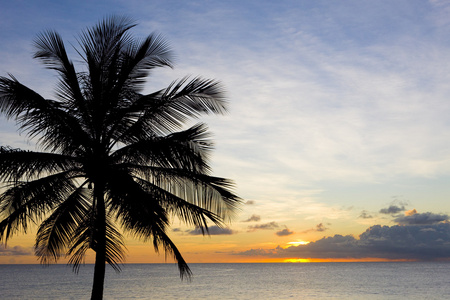 巴巴多斯加勒比海上日落