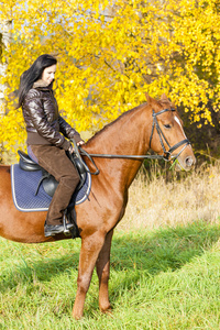 马术骑马在秋季性质