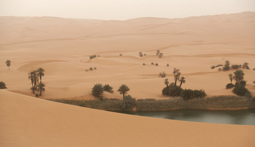 利比亚撒哈拉沙漠中的绿洲