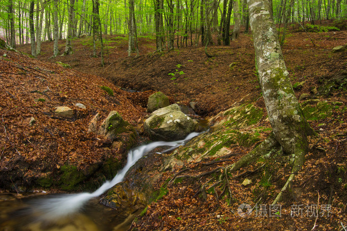 在森林里的瀑布。montseny