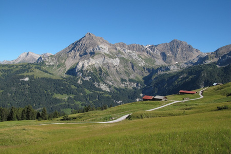 美丽的风景在 gsteig bei 格施塔德