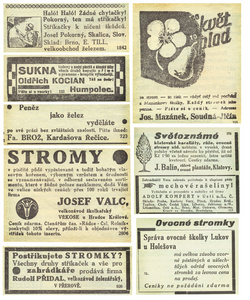 报纸页面的广告，1935 年，czeh 共和国