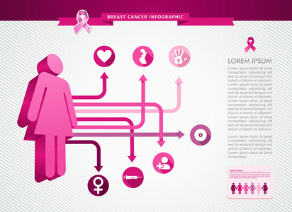 乳房癌的认识功能区女人信息图表模板 eps10