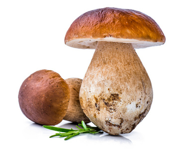 牛肝菌蘑菇配迷迭香