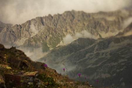 山风景