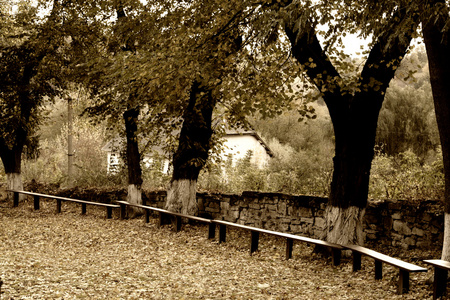 bnkar i hst park, Foto i vintage stil