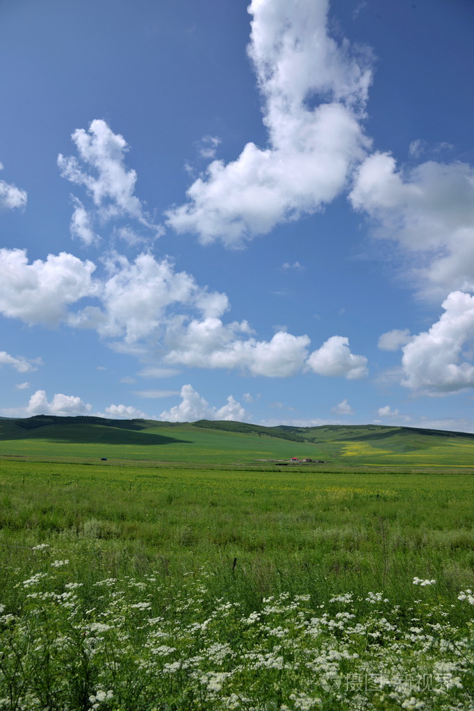 内蒙古科尔沁草原