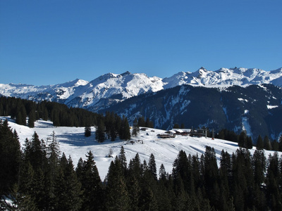 滑雪区 braunwald