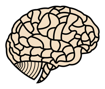 大脑模型。eps10 图
