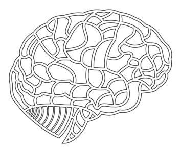 大脑模型。eps10 图