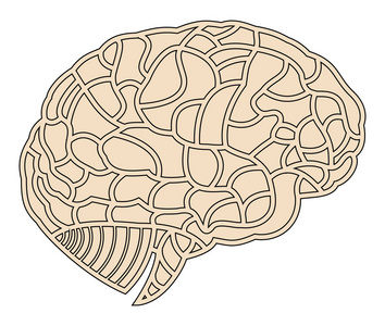 大脑模型。eps10 图