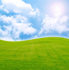 太阳和领域的绿色鲜草在蓝蓝的天空下