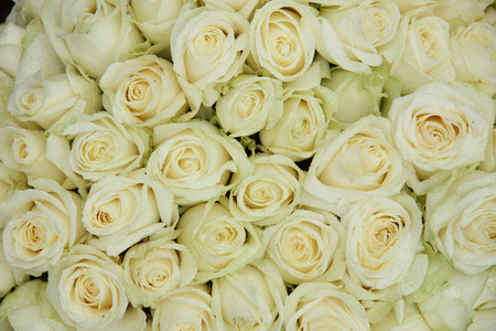 组的白 weddingflowers
