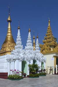 shwedagon 塔复杂仰光缅甸