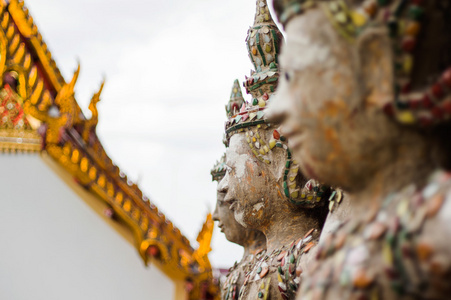     wat arun  