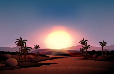 一个视图在日落期间沙漠