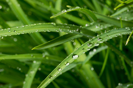 雨滴宏