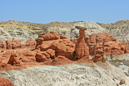 红色毒菌和红色岩石