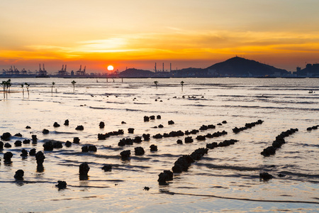 夕阳与海