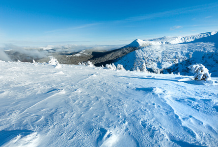 冬天与雪树山风景